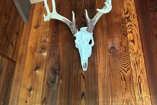 2347 W W Dowling Road Rd, Delton, MI 49046 - Photo 62