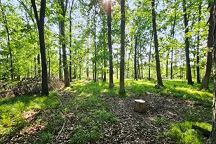 9159 Moreland Rd, Jerome, MI 49249 - Photo 60