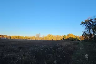 9159 Moreland Rd, Jerome, MI 49249 - Photo 76