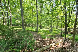 9159 Moreland Rd, Jerome, MI 49249 - Photo 58