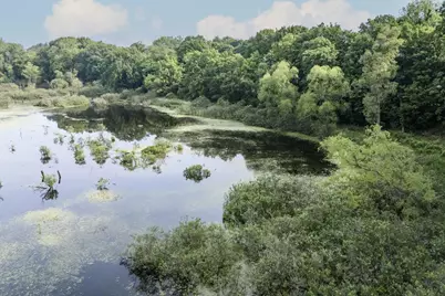 15326 Madron Lake Road, Buchanan, MI 49107 - Photo 20