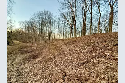 15326 Madron Lake Road, Buchanan, MI 49107 - Photo 4