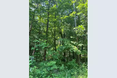 Vl Blair Street, West Olive, MI 49460 - Photo 1