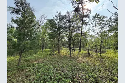 Parcel A Cherry Creek Trail, Grayling, MI 49738 - Photo 12