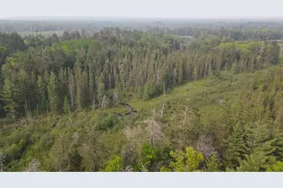 Parcel B Cherry Creek Trail, Grayling, MI 49738 - Photo 2