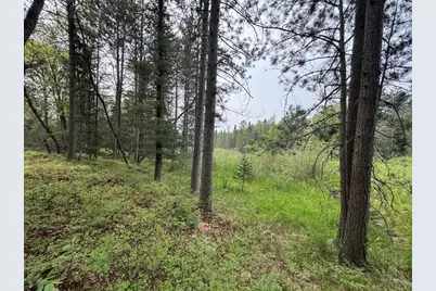 Parcel B Cherry Creek Trail, Grayling, MI 49738 - Photo 18