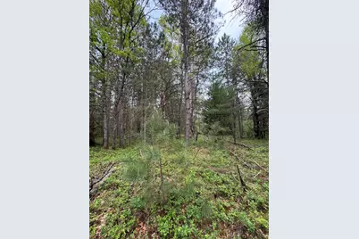 Parcel C Cherry Creek Trail, Grayling, MI 49738 - Photo 16