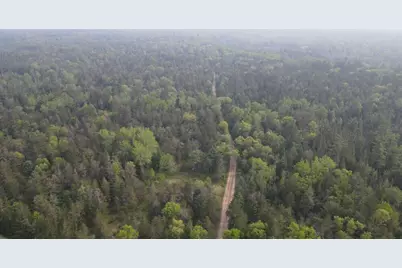 Parcel C Cherry Creek Trail, Grayling, MI 49738 - Photo 4