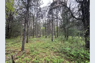 Parcel C Cherry Creek Trail, Grayling, MI 49738 - Photo 14