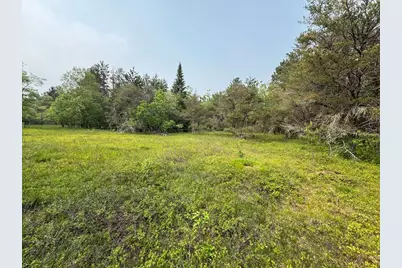 Parcel C Cherry Creek Trail, Grayling, MI 49738 - Photo 10