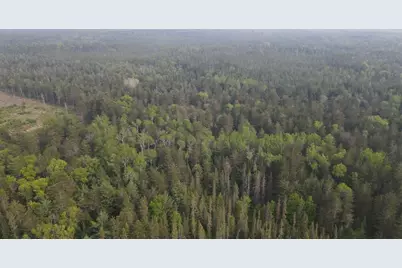 Parcel C Cherry Creek Trail, Grayling, MI 49738 - Photo 6