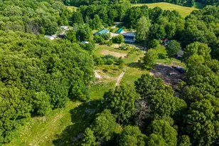 11303 W Dr N, Bellevue, MI 49021 - Photo 50