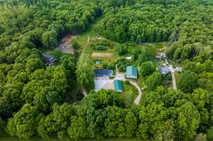 11303 W Dr N, Bellevue, MI 49021 - Photo 42