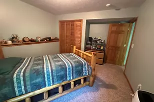 17474 Connor Cir, Bailey, MI 49303 - Photo 28