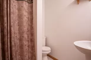 17474 Connor Cir, Bailey, MI 49303 - Photo 38