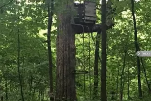 3635 Waldron Rd, North Adams, MI 49262 - Photo 48