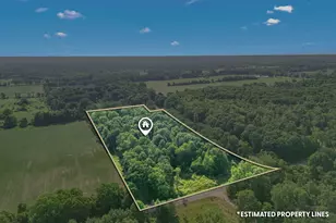 1391 Lake Wilson Rd S, Hillsdale, MI 49242 - Photo 6