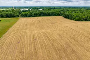 38347 Co Rd 374, Paw Paw, MI 49079 - Photo 42