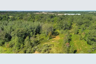 E 34 Road, Cadillac, MI 49601 - Photo 8