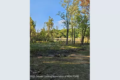 4784-4788 Beech Drive, Lakeview, MI 48850 - Photo 16