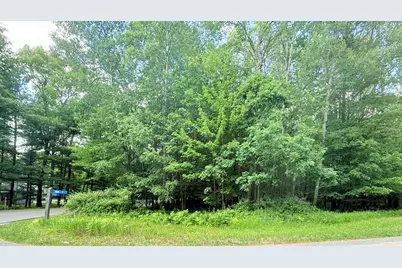 9760 Main Street, Stanwood, MI 49346 - Photo 1