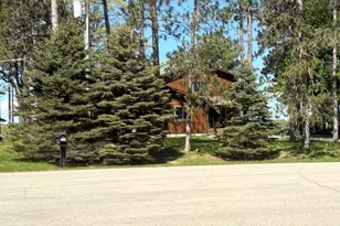 3780 Hiawatha Trail, National City, MI 48748 - Photo 68