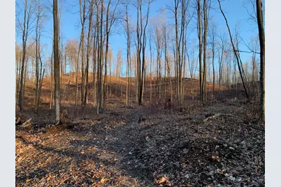 Chief ''o'' Road, Bear Lake, MI 49614 - Photo 1