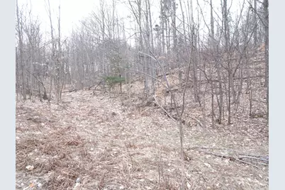 Chief ''m'' Road, Bear Lake, MI 49614 - Photo 1