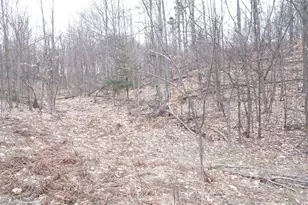 Chief ''m'' Rd, Bear Lake, MI 49614 - Photo 1