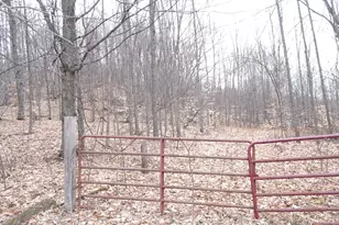 Chief L Rd, Bear Lake, MI 49614 - Photo 1