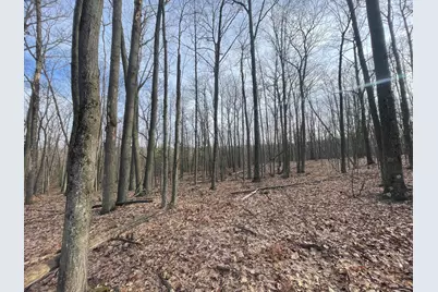 7780 N Harrison Avenue, Harrison, MI 48625 - Photo 10