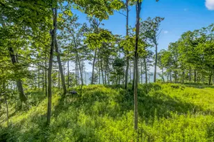 4569 S Lakeshore Dr, Ludington, MI 49431 - Photo 54