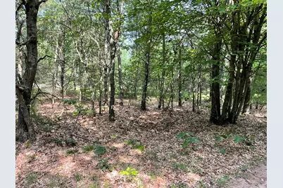 Ewing Road, Holton, MI 49425 - Photo 1