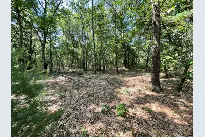Ewing Road, Holton, MI 49425 - Photo 6