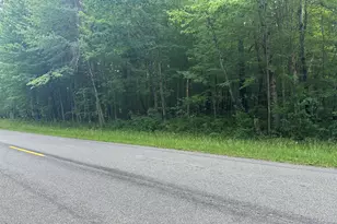 8747 E Kinney Rd, Branch, MI 49402 - Photo 10