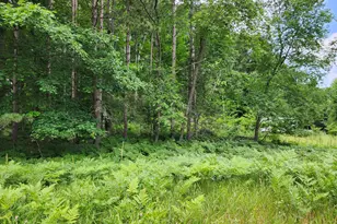 6389 S Woods Trail Rd, Custer, MI 49405 - Photo 8