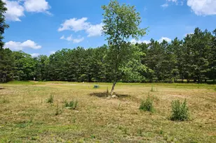 6389 S Woods Trail Rd, Custer, MI 49405 - Photo 2