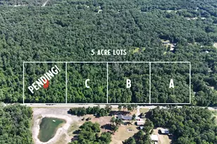 Par D W Almy Rd, Howard City, MI 49329 - Photo 1