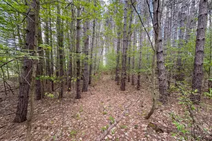 5320 E 18 Rd, Manton, MI 49663 - Photo 50