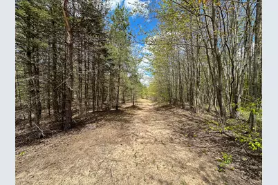 5320 E 18 Road, Manton, MI 49663 - Photo 48