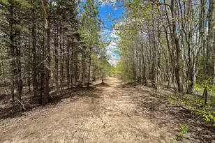 5320 E 18 Rd, Manton, MI 49663 - Photo 48