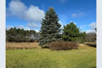 524 S Cherry Street, Evart, MI 49631 - Photo 36