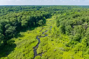 22100 N Uldriks Dr, Battle Creek, MI 49017 - Photo 64