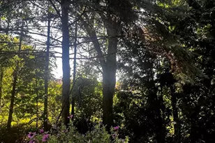 217 Old Creek Dr, Saline, MI 48176 - Photo 12