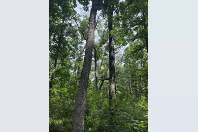 6230 S Evergreen Drive, Newaygo, MI 49337 - Photo 1