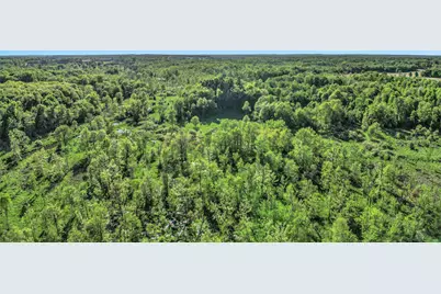 15252 27 Mile Road, Albion, MI 49224 - Photo 22