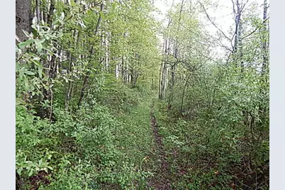 15252 27 Mile Road, Albion, MI 49224 - Photo 40