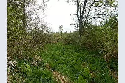 15252 27 Mile Road, Albion, MI 49224 - Photo 32