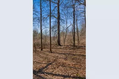 15252 27 Mile Road, Albion, MI 49224 - Photo 54