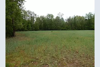 15252 27 Mile Road, Albion, MI 49224 - Photo 10